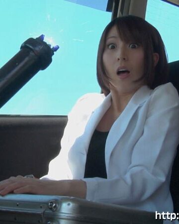 アートガーディアン麗 耐えろ！凶悪怪盗姉妹のレズ拷問 板野有紀
